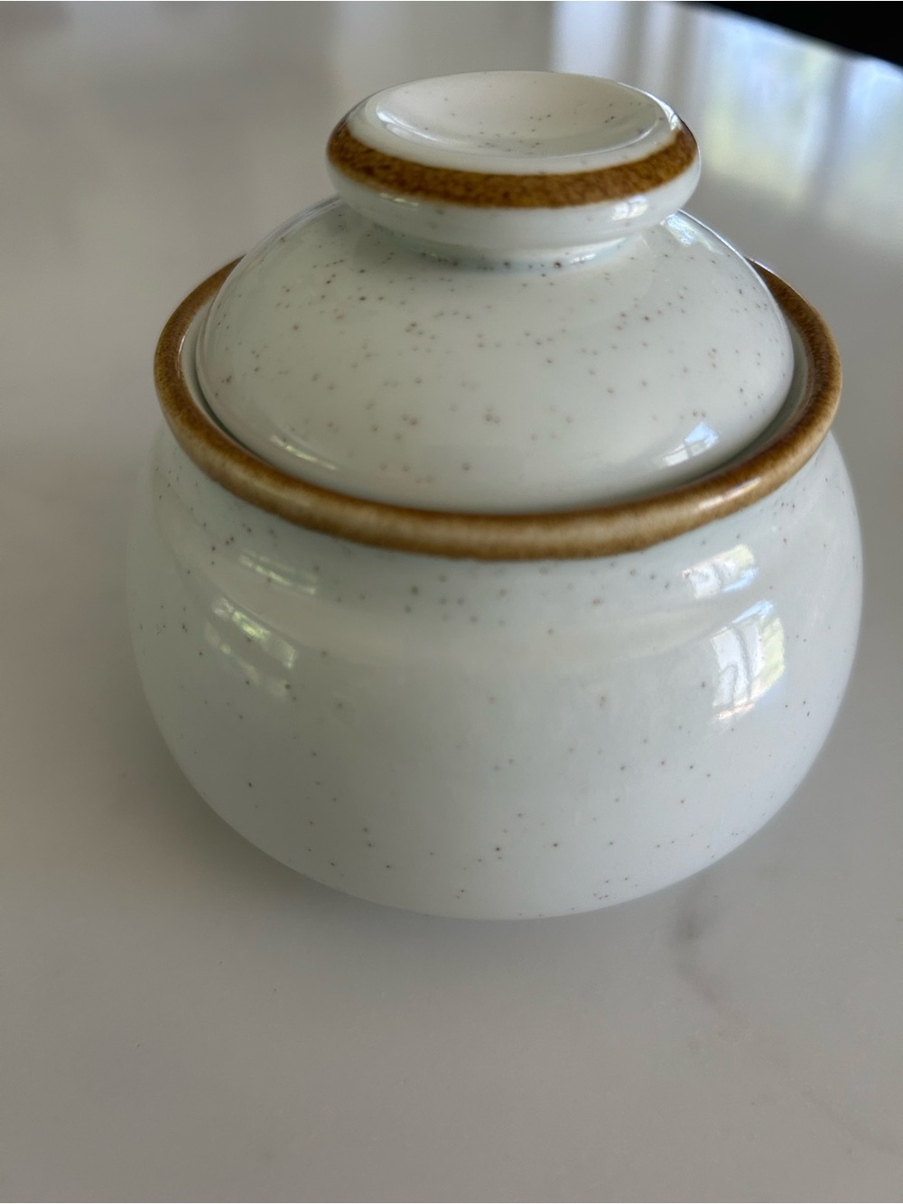 Mikasa Speckled Cream Ceramic Jar with Brown Trim